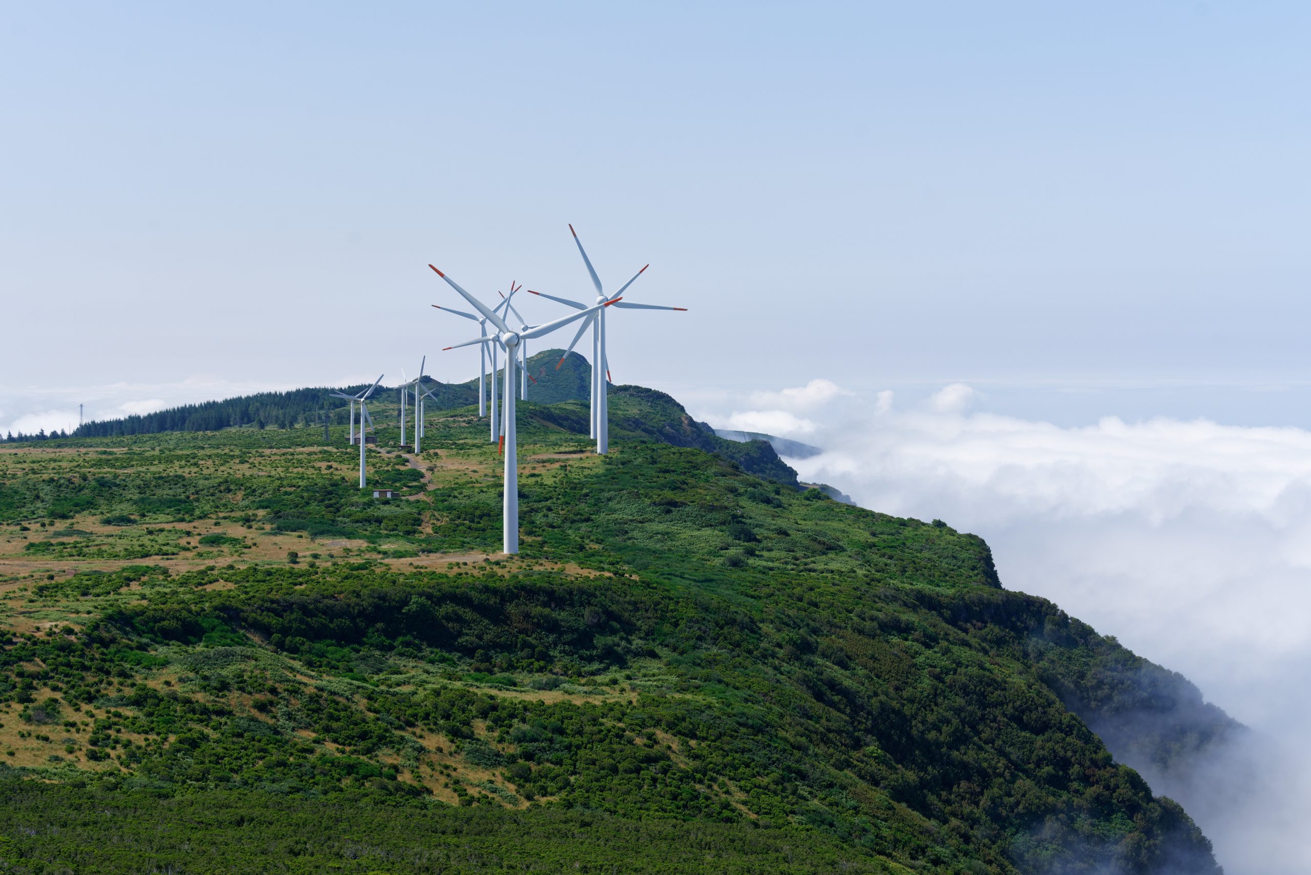 A shot of wind turbines on the mountains